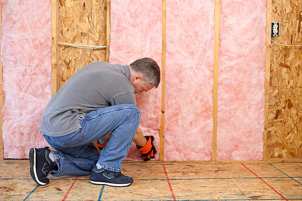 Best Affordable Insulation Services  in New Kingman Butler, AZ